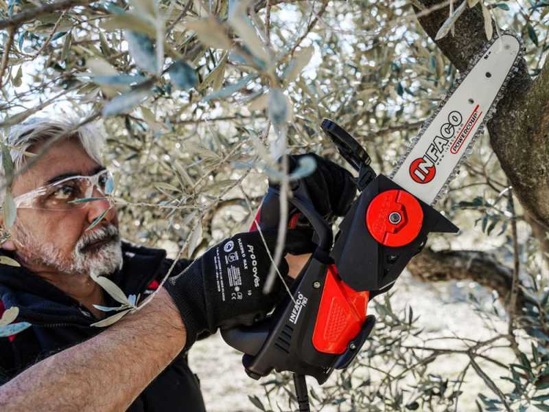Infaco TR9 - Potatore a batteria su asta fissa da 93 cm - Batteria a zaino inclusa