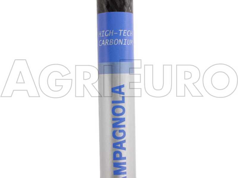 Campagnola Icarus V1 58 - Asta in carbonio da 185-270 cm  - Abbacchiatore elettrico- Batteria a zaino inclusa