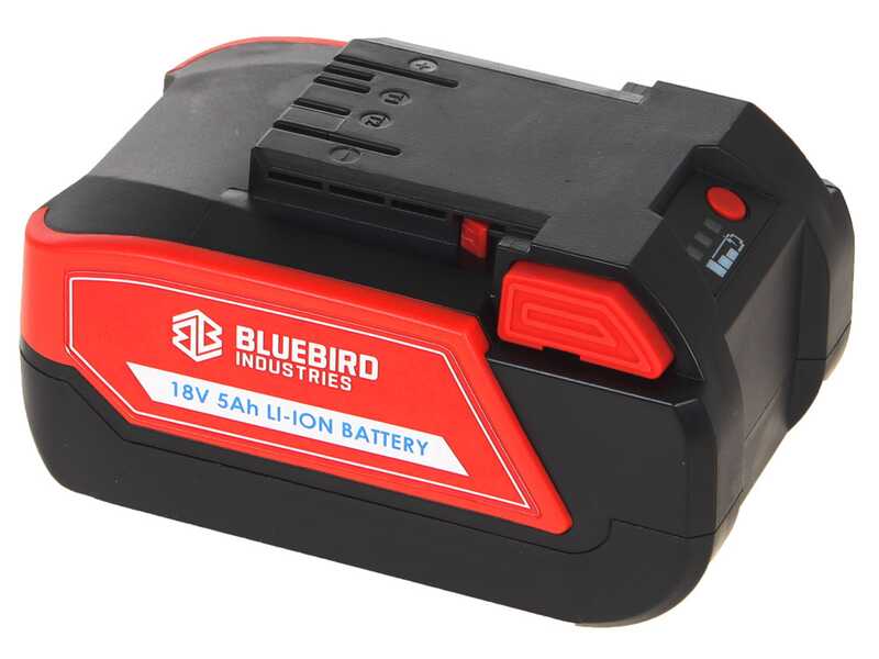 Blue Bird Olimpo 23-56 - Abbacchiatore a batteria - Asta fissa 240 cm - 21V 5Ah