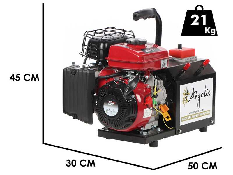 Agrieuro Premium Angelis - Generatore di corrente portatile 12/22V