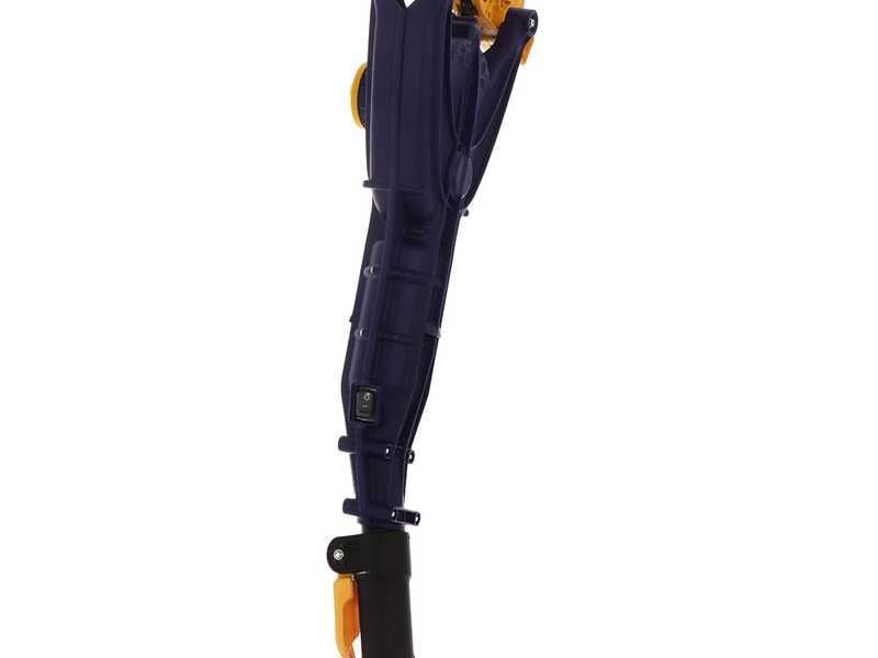 Lisam Avatar - Abbacchiatore Elettrico a batteria - Asta Telescopica - Batteria 12V 56Ah