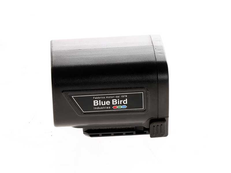 Blue Bird HPS 22-220 - Forbice elettrica da potatura su asta da 220 cm -  21.6V 2.5Ah