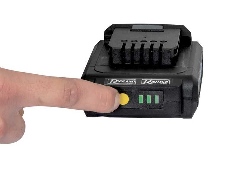 Ribimex PRBAT20/ELAG - Potatore a batteria su asta telescopica - 20V/2Ah