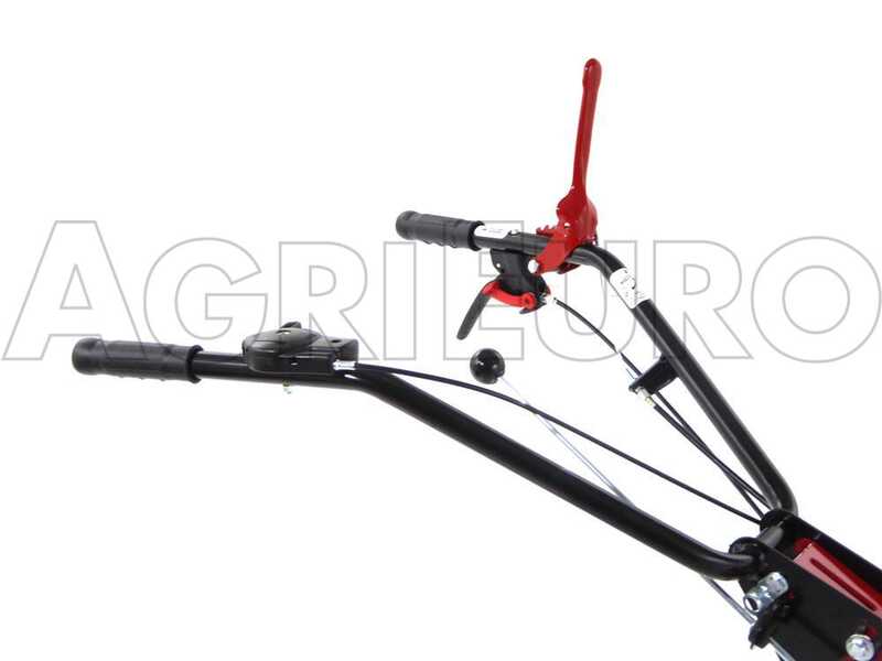 Eurosystems P55 - Trinciaerba a scoppio - Falciatutto PRO - Loncin 196 cc