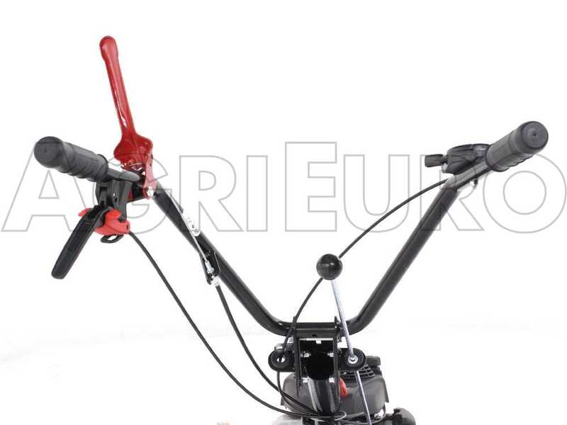 Eurosystems P55 - Trinciaerba a scoppio - Falciatutto PRO - HONDA GCVX 170