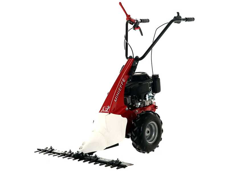 Eurosystems Minieffe - Decespugliatore a ruote a benzina - Rato RV200