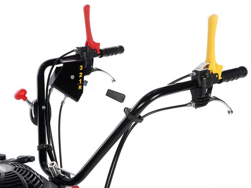 Meccanica Benassi TR 600 - Trinciaerba professionale a martelli - Motore a benzina 13 HP