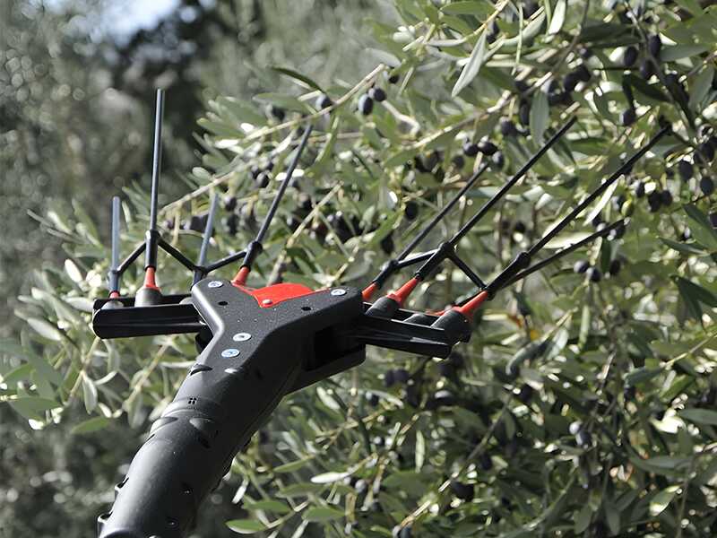 Castellari Vertigo C 18V - Abbacchiatore elettrico a batteria 190-240 cm - 18V/5.2ah