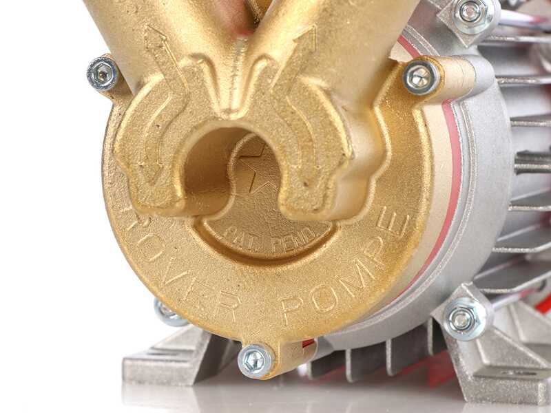 Rover 35 CE - Pompa elettrica da travaso in bronzo - Monofase - 230V
