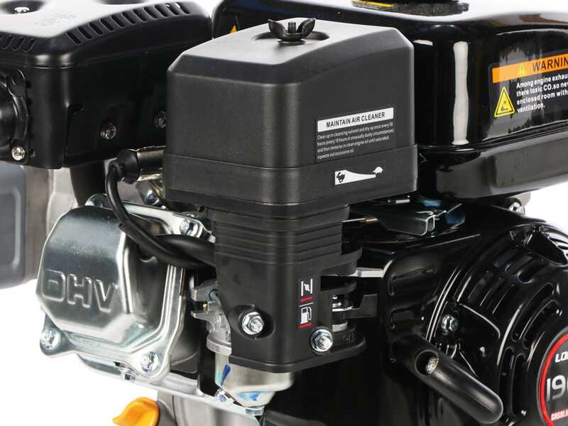 Comet MTP BPX25 PA6 - Motopompa per irrorazione - motore Loncin G200F - versione per acidi e prodotti chimici