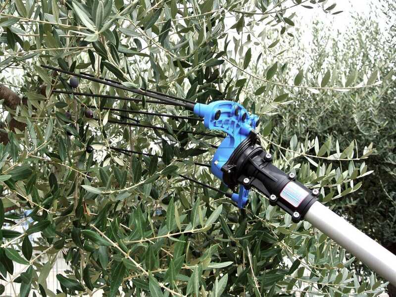 Campagnola HERCULES 58V - Asta in alluminio - 200 - 270 cm - Abbacchiatore elettrico a batteria - Batteria a zaino inclusa
