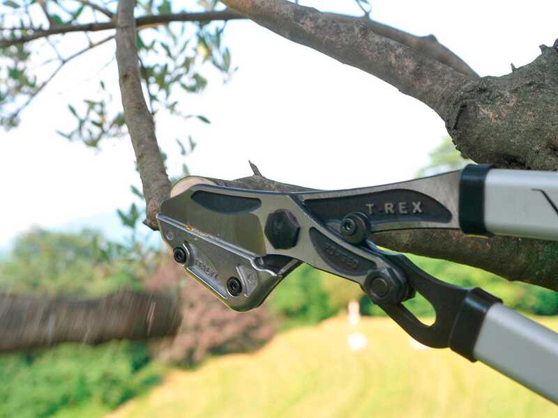 VESCO T-REX T10 - Troncarami a battente dritto - Lunghezza 80 cm