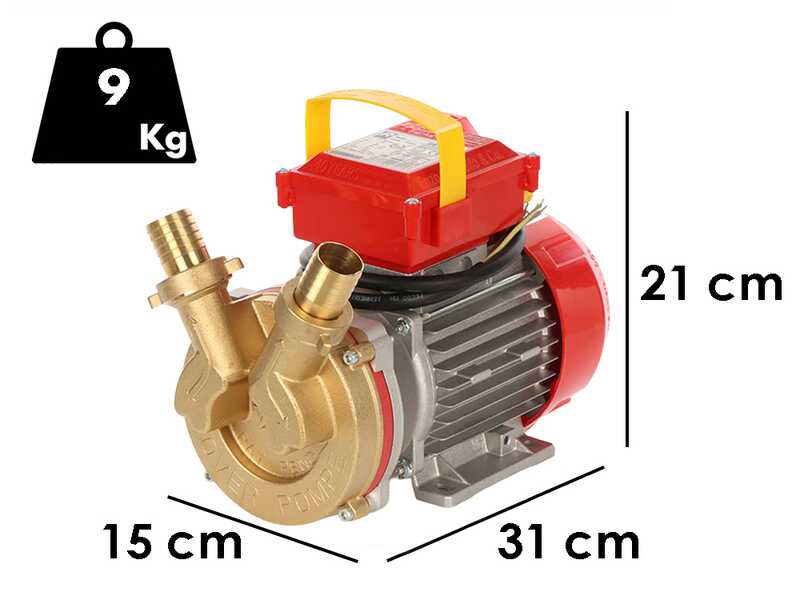 OUTLET - PICCOLI DIFETTI ESTETICI - Rover BE-T 30 - Pompa elettrica da travaso in bronzo - Trifase - 400V