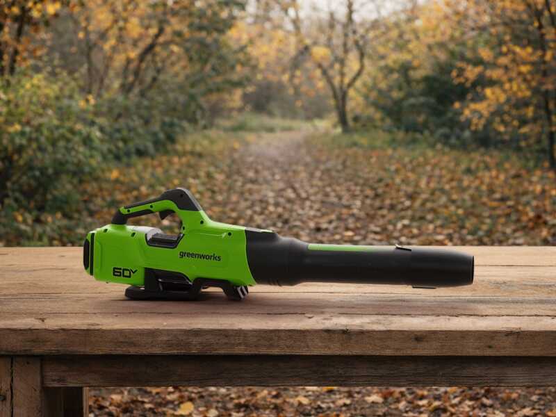 Greenworks BL2206H - Soffiatore assiale a batteria - SENZA BATTERIE E CARICABATTERIE