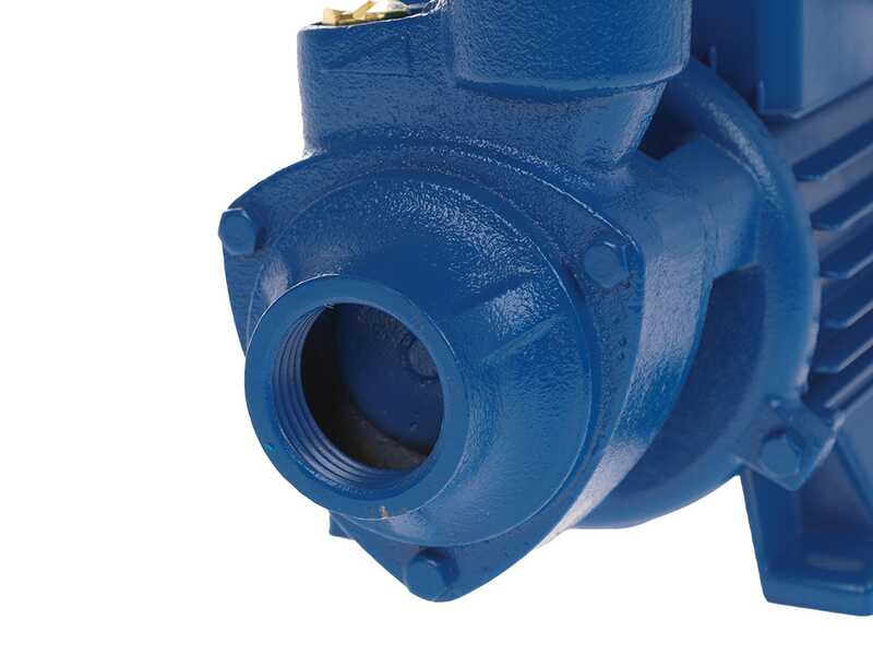 Hyundai QB60 - Elettropompa autoadescante da giardino con attacchi da 1" (25mm) - Acque chiare - 370 W