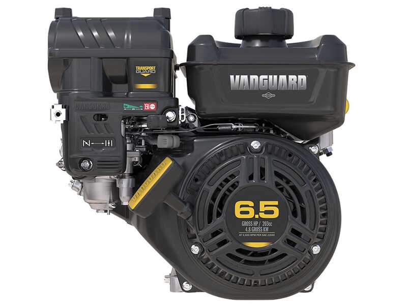 OUTLET - UTILIZZATO PER PROVA - GeoTech Pro LV650 SPBS Deluxe - Aspirafoglie-Biotrituratore trazionato a marce - B&amp;S Vanguard