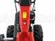 Ginko-MGM TT 786 - Trinciaerba professionale a martelli - Honda GX270