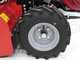 Ginko-MGM TT 786 - Trinciaerba professionale a martelli - Honda GX270