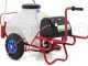 Pompa irroratrice elettrica carrellata M2017012 - A batteria 12V - 70L PRO