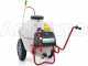Pompa irroratrice elettrica carrellata M2001112 - A batteria 12V - 120L PRO