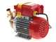 Rover 25 CE - Elettropompa da travaso in bronzo - Monofase - 230V