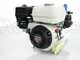 Kit motopompa irroratrice Comet MC 25 Honda GP 160 e carrello Dal Degan con serbatoio 150 lt