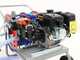 Kit motopompa irroratrice Comet MP 30 Loncin G200F e carrello Dal Degan con serbatoio 150 lt