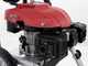GeoTech GPW 10/200 - Idropulitrice a scoppio - 228 bar - 568 L/h - Motore Ducar DV196
