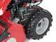 Ginko-MGM TT 786 - Trinciaerba professionale a martelli - Honda GX 270