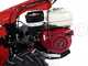 Ginko-MGM TT 786 - Trinciaerba professionale a martelli - Honda GX 270
