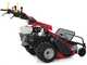 Ginko-MGM TT 786 - Trinciaerba professionale a martelli - Honda GX 270