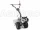Eurosystems TM 70 RB EVO - Motocoltivatore benzina - Briggs&amp;Stratton 850E I/C