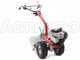Eurosystems P70 EVO - Motocoltivatore benzina - Brigs&amp;Stratton 850E - 6.5HP