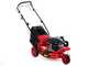 GeoTech Pro S42-3 BMSWG - Rasaerba a scoppio semovente - Monoruota pivotante