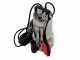 Einhell GC-DP 1020 N Inox - Pompa sommersa elettrica per acque scure - 1000W