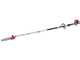 Attila GX 25 - Abbacchiatore + Decespugliatore a scoppio Attila multifunzione con motore Honda