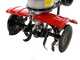 Motozappa Rotalux 52A H65 con fresa 75 cm - Motore Honda GCV200 - 1 marcia avanti