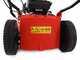 Marina Systems 55 SH 3V 4-in-1 - Tagliaerba a scoppio - Motore Honda GCVX200