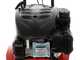 Benassi BL 20 - Motozappa a benzina 4.5 HP - Motore Loncin LC1P65FE