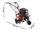Benassi BL 6000C - Motozappa a benzina 7 HP - Motore Hwasdan H170F 