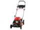 GeoTech Pro S46-175 BMSW - Tosaerba a scoppio - Motore GeoTech da 173cc