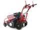 Blue Bird FM600 - Trinciaerba professionale a martelli - Loncin LC175F-2