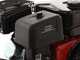 GeoTech Pro PLS 6000 Evo - Arieggiatore a scoppio a lame fisse - Motore Ducar DH212