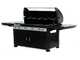 Campingaz 4 Series LS Plus D Dualgas - Barbecue a gas o metano con forno, piastra e griglia, culinary modular