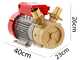 Rover BE-M 50 - Pompa elettrica da travaso in bronzo - Monofase - 230V