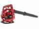 GeoTech BB 248 - Soffiatore a scoppio motore 2 tempi