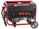 Einhell TC-PG 35/E5 - Generatore di corrente carrellato con AVR 3.1 kW - Continua 2.6 kW Monofase
