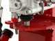 Ceccato Olindo BULL SPLE 8L - Spaccalegna elettrico - Verticale - 230V
