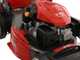 Efco LR 53 TK Allroad PLUS 4 - Rasaerba a scoppio semovente - Motore Emak K 805 OHV da 196 cc