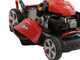 Efco LR 53 TK Allroad PLUS 4 - Rasaerba a scoppio semovente - Motore Emak K 805 OHV da 196 cc